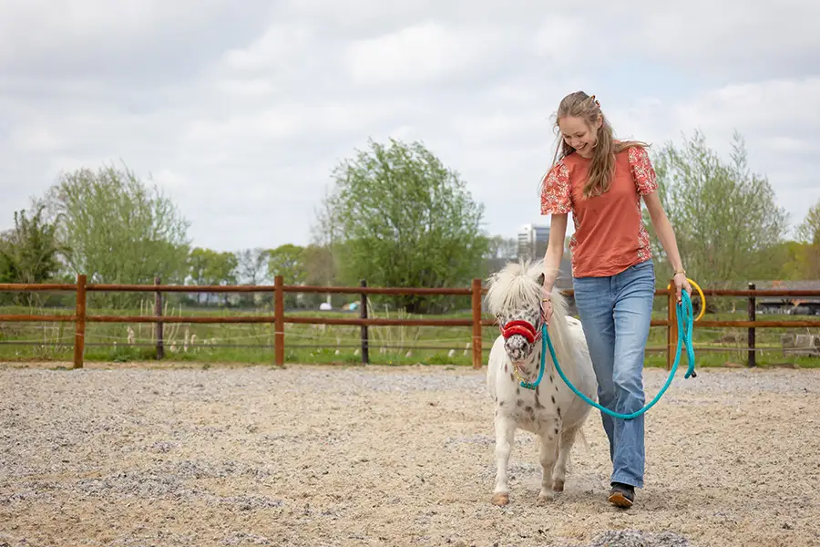Jongere met een pony