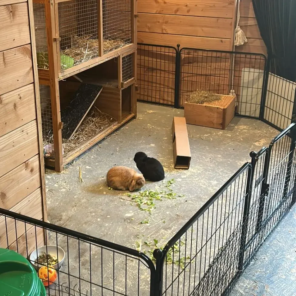 Joki & Jet
